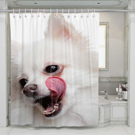 white dog shower curtains