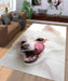 white dog Living room carpet rugs