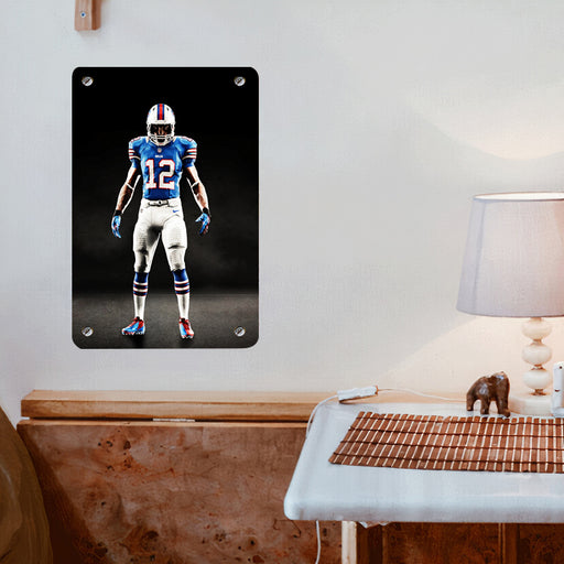 the player of nfl Poster Metal print wall art