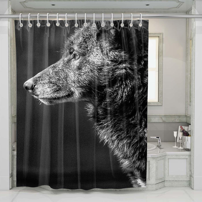 wolf monochrome shower curtains