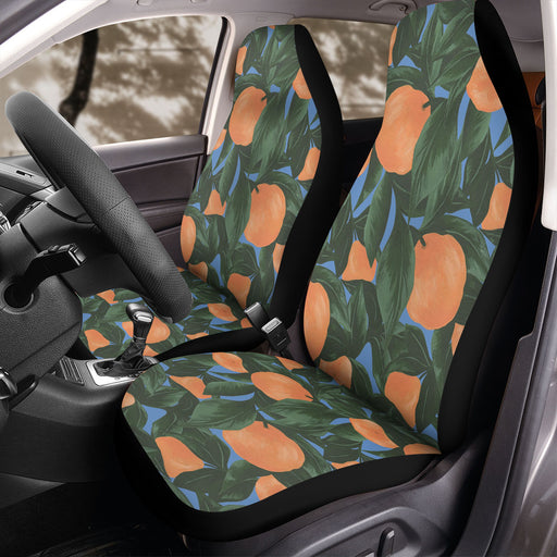 vintage orange plant painting Car Seat Covers